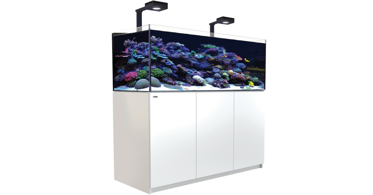 Red Sea REEFER 625 G2 Deluxe weiß 497 Liter