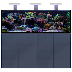 D-D Aqua-Pro Reef 1800- METAL FRAME- ANTHRACITE MATT