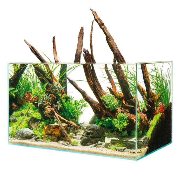 Oase ScaperLine 100 Aquarium