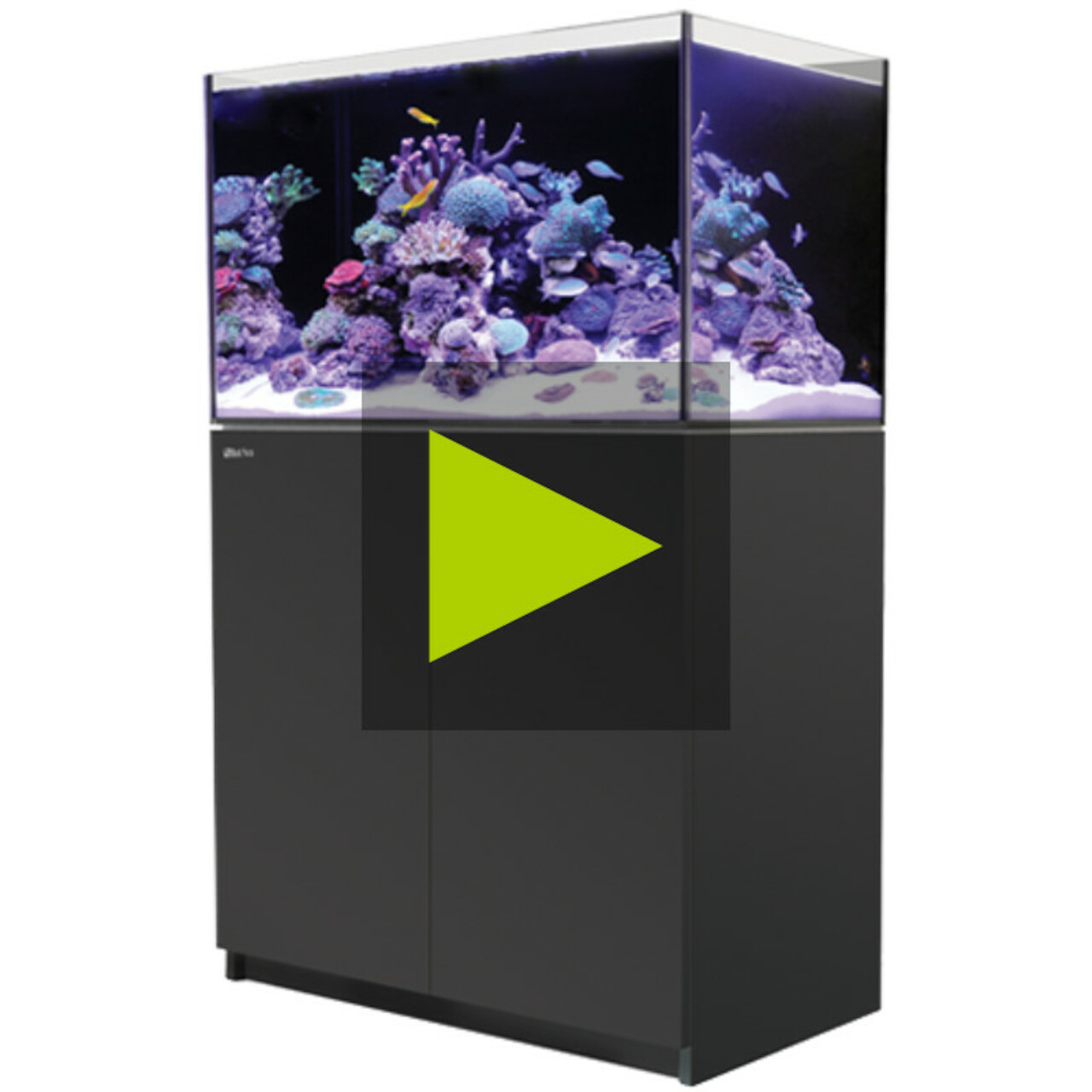 Red Sea Reefer 250 G2+ schwarz