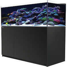 Red Sea Reefer 525 G2+ schwarz