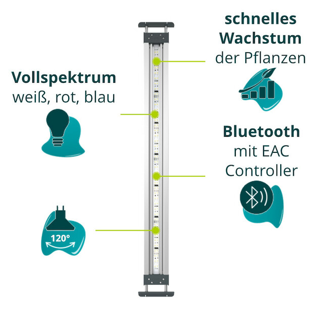 Oase HighLine Premium LED