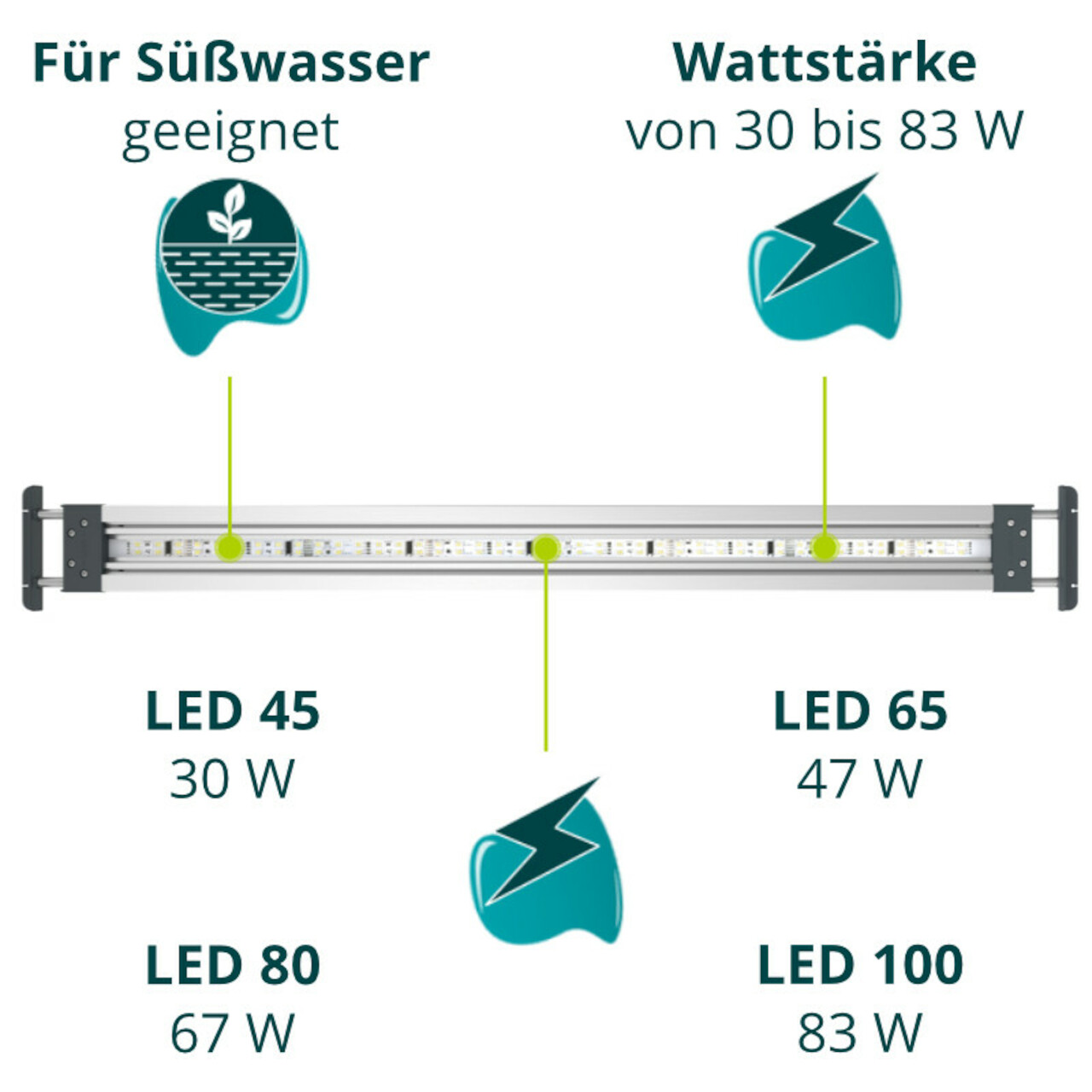 Oase HighLine Premium LED