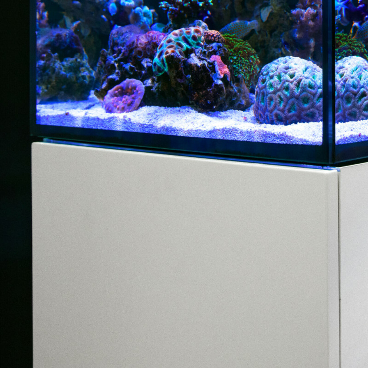 Red Sea Max Nano Cube G2 weiss