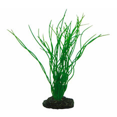 Hobby Sagittaria 20 cm