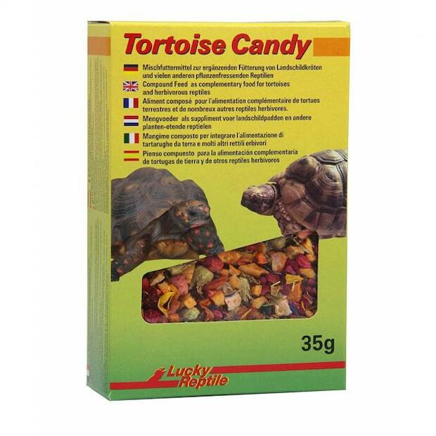 Lucky Reptile Tortoise Candy