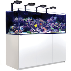 Red Sea Reefer 750 G2+ MAX weiss