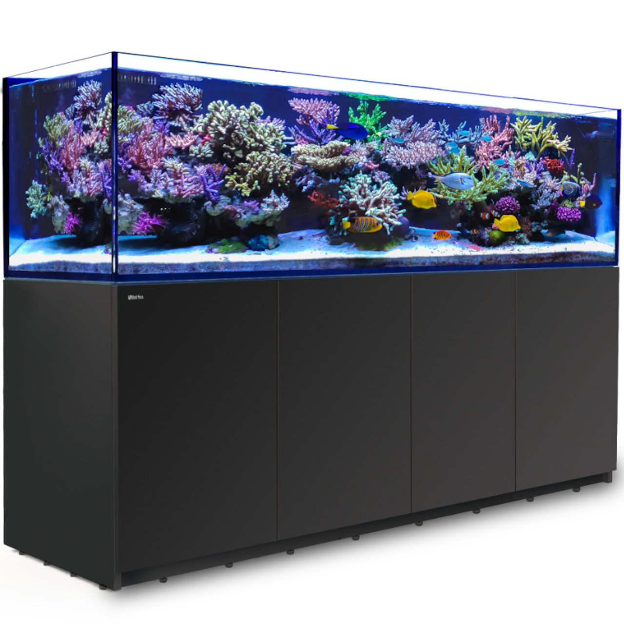 Red Sea Reefer 900 G2+ schwarz