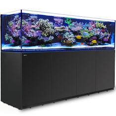 Red Sea Reefer 900 G2+ schwarz