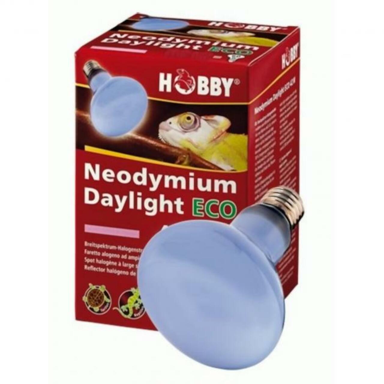 Hobby Neodymium Daylight Eco 70 W