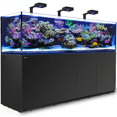 Red Sea Reefer 900 G2+ MAX schwarz