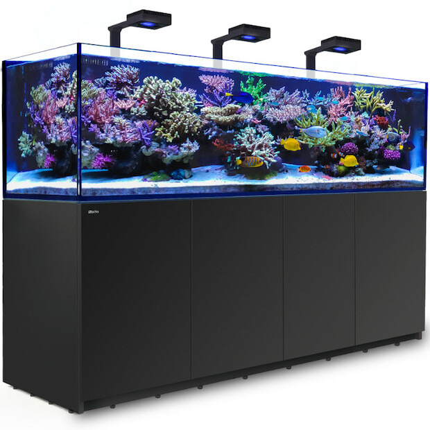 Red Sea Reefer 900 G2+ MAX schwarz