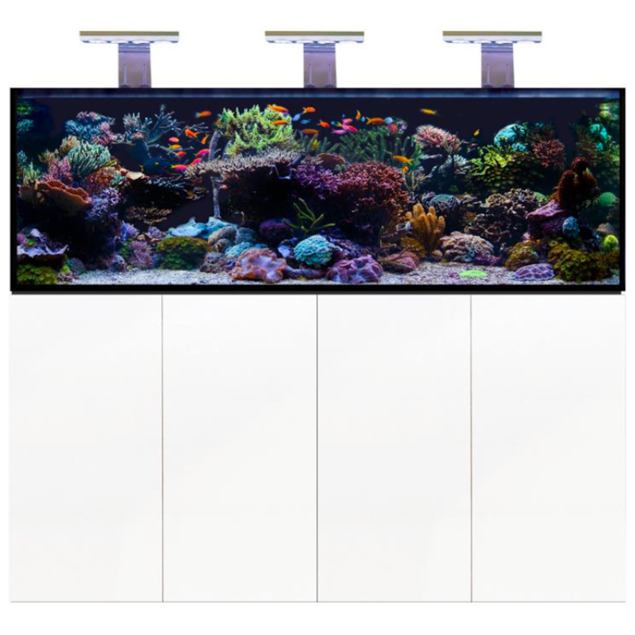 D-D Aqua-Pro Reef 1800- METAL FRAME- WHITE GLOSS