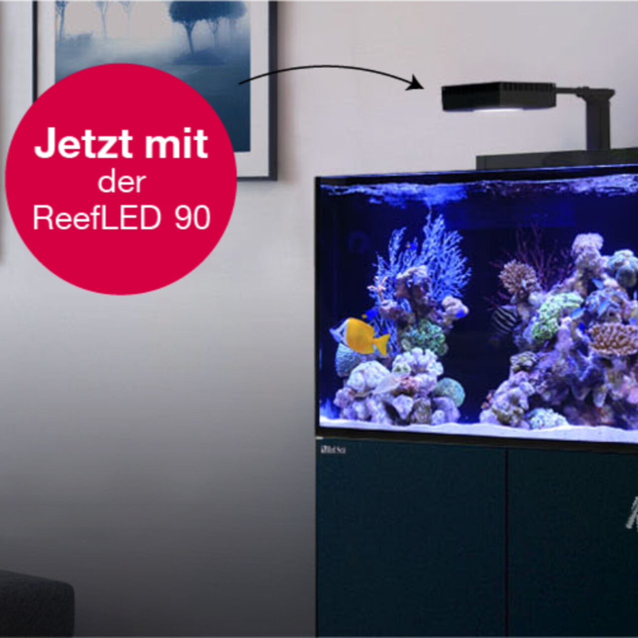 Red Sea Max E260 schwarz