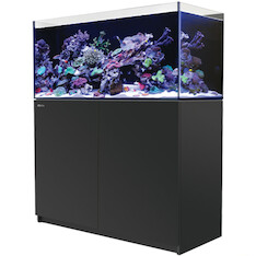 Red Sea Reefer 350 G2+ schwarz