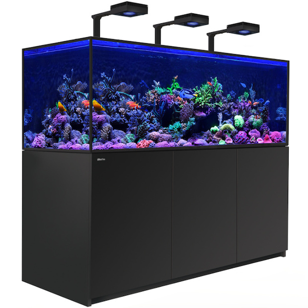 Red Sea Reefer-S 850 G2+ Deluxe schwarz