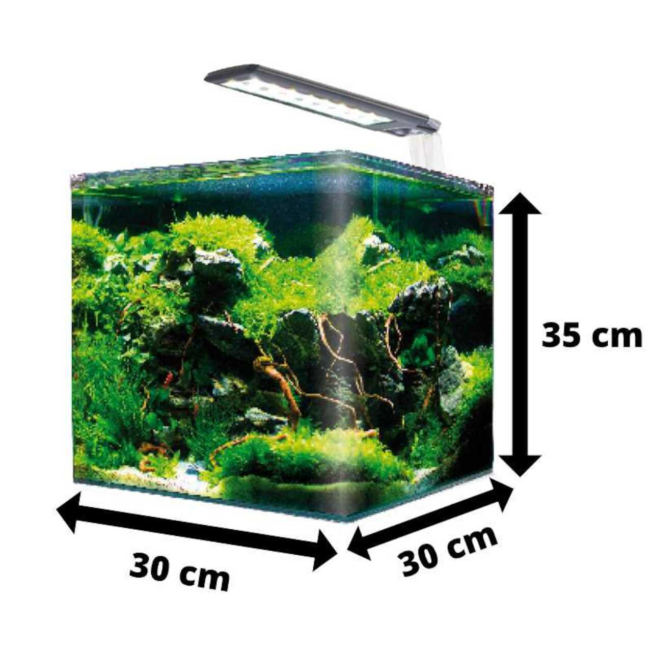 Amtra Nano Tank 30 - Nano Aquarium 30 Liter online kaufen