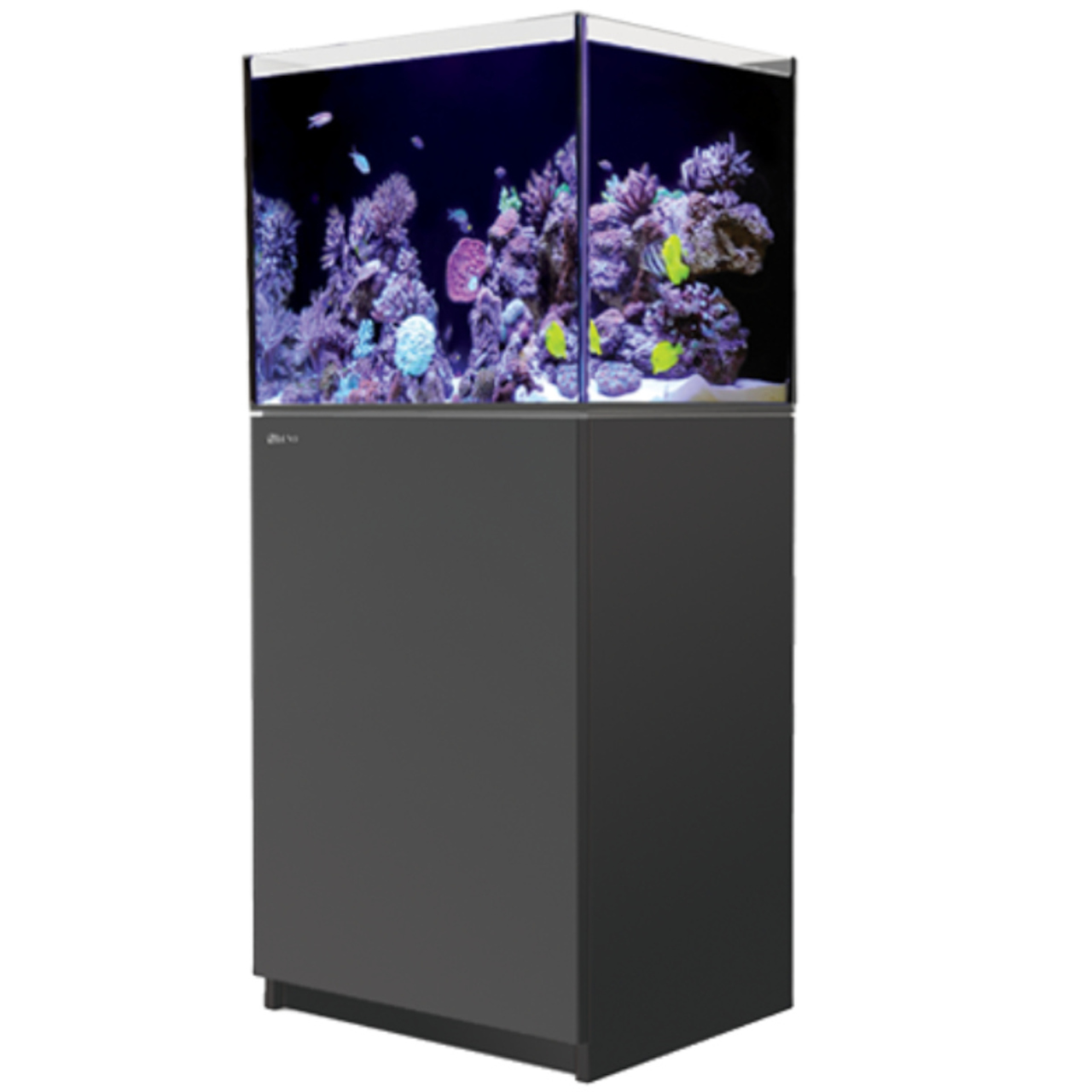 Red Sea Reefer 200 G2+ schwarz