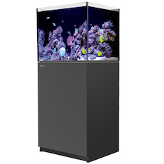 Red Sea Reefer 170 G2+ schwarz