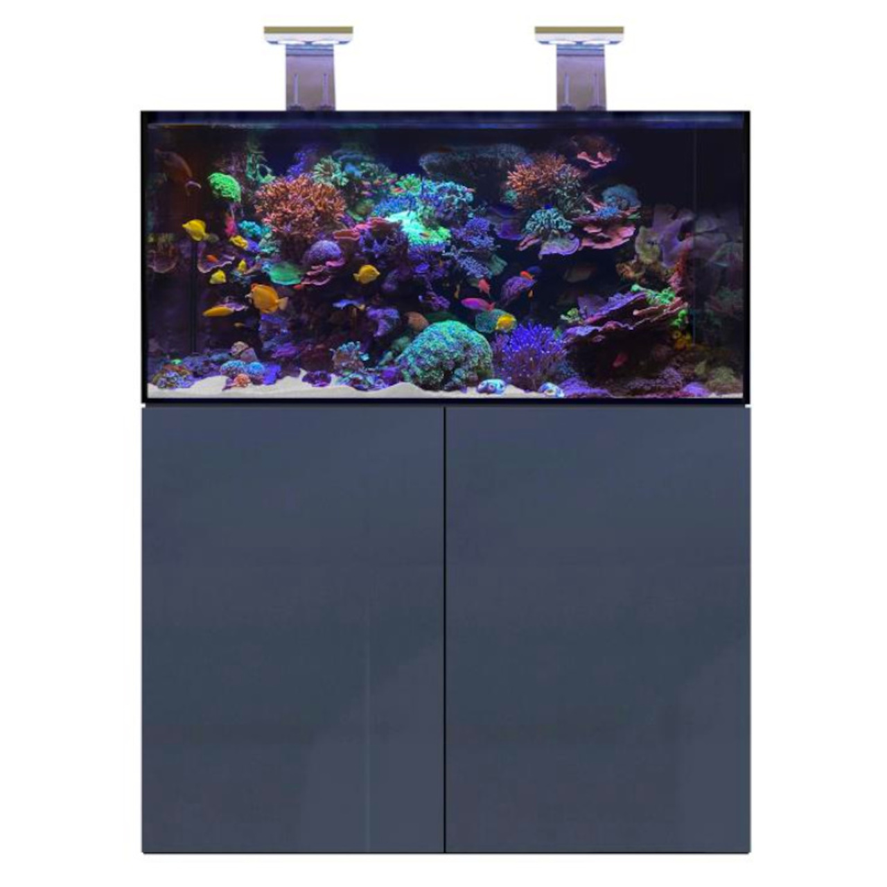 D-D Aqua-Pro Reef 1200- METAL FRAME- ANTHRACITE GLOSS