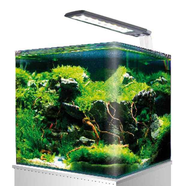 Amtra Nano Aquarium 36