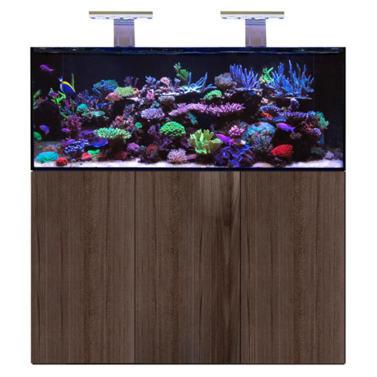 D-D Aqua-Pro Reef 1500- METAL FRAME- JAPANESE PEAR GLOSS