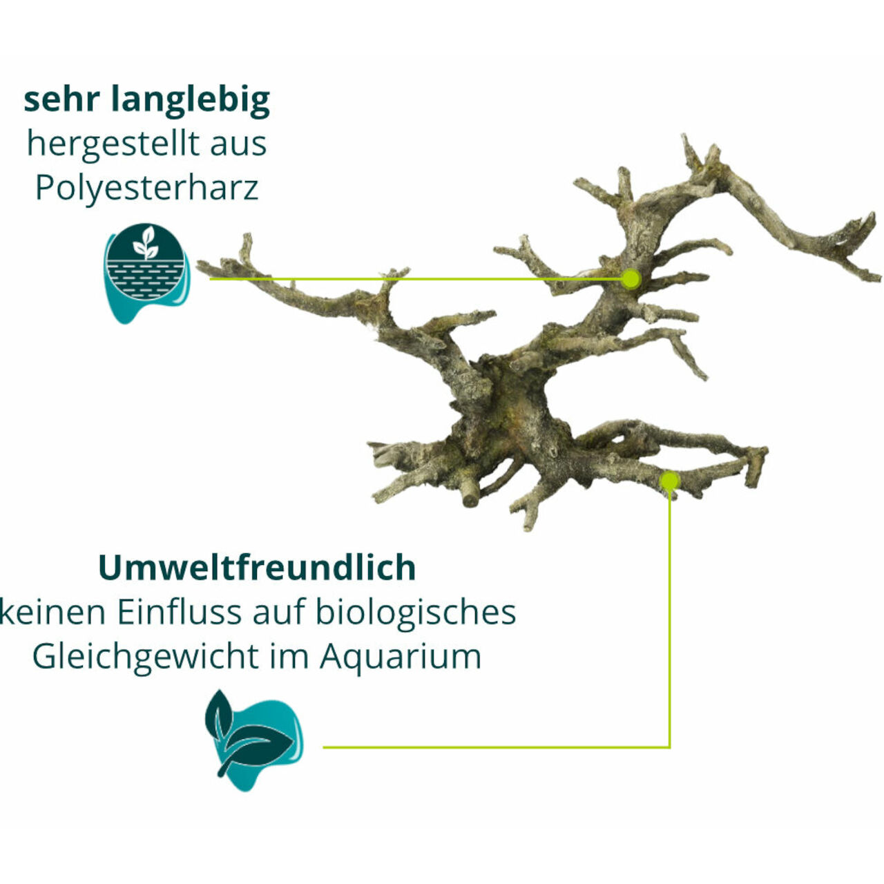 Aqua Della Bonsai