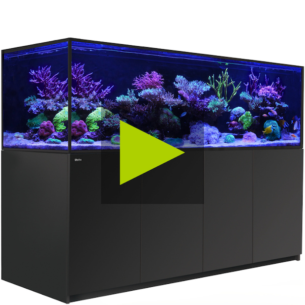 Red Sea Reefer-S 1000 G2+ schwarz