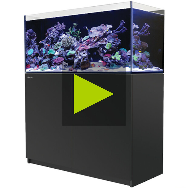 Red Sea Reefer 350 G2+ schwarz