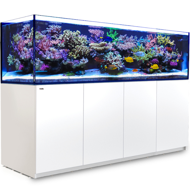 Red Sea Reefer 900 G2+ weiss