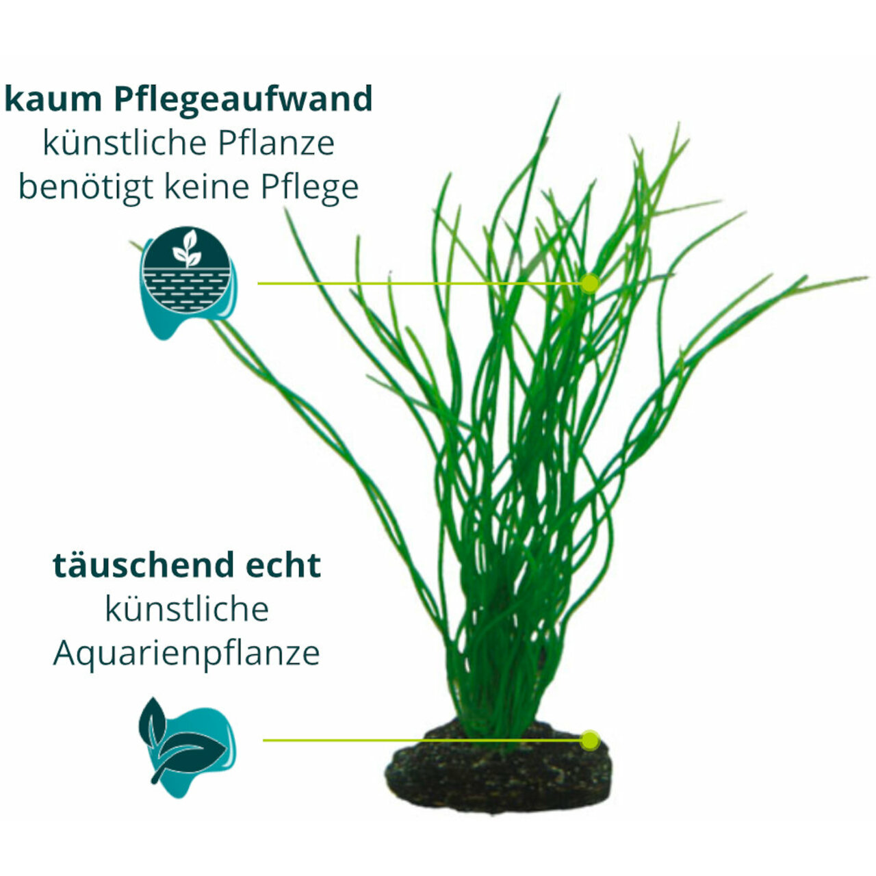 Hobby Sagittaria 20 cm