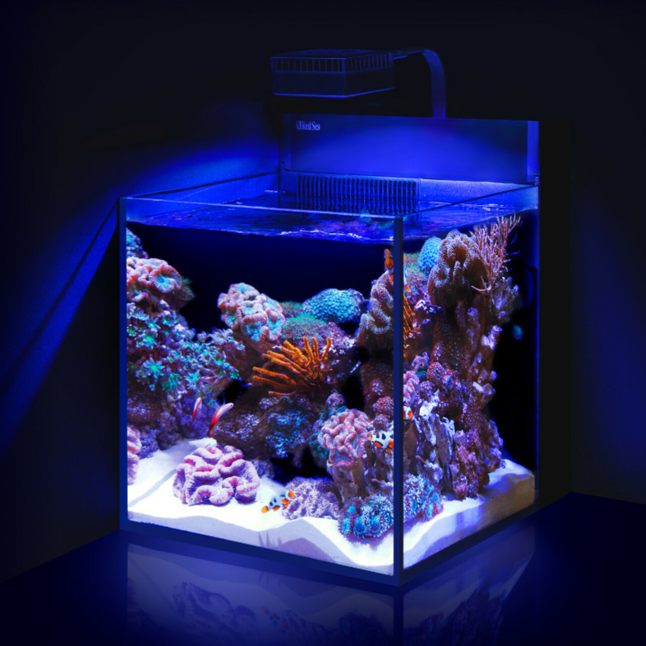 Red Sea Max Nano Cube G2 weiss