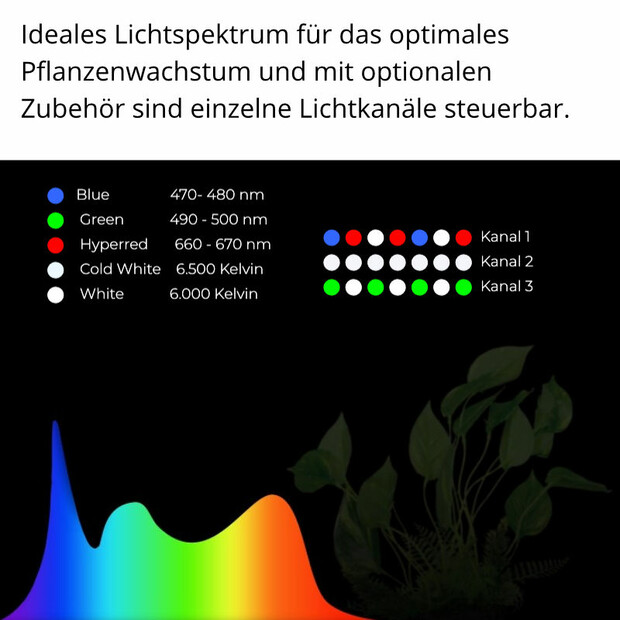 Giesemann PULZAR G-3 tropic