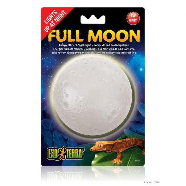 Exo Terra Full Moon