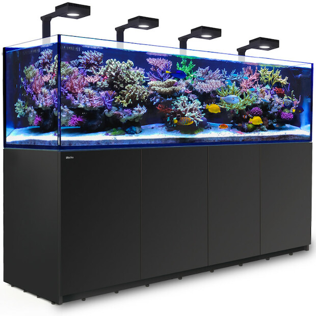 Red Sea Reefer 900 G2+ Deluxe schwarz