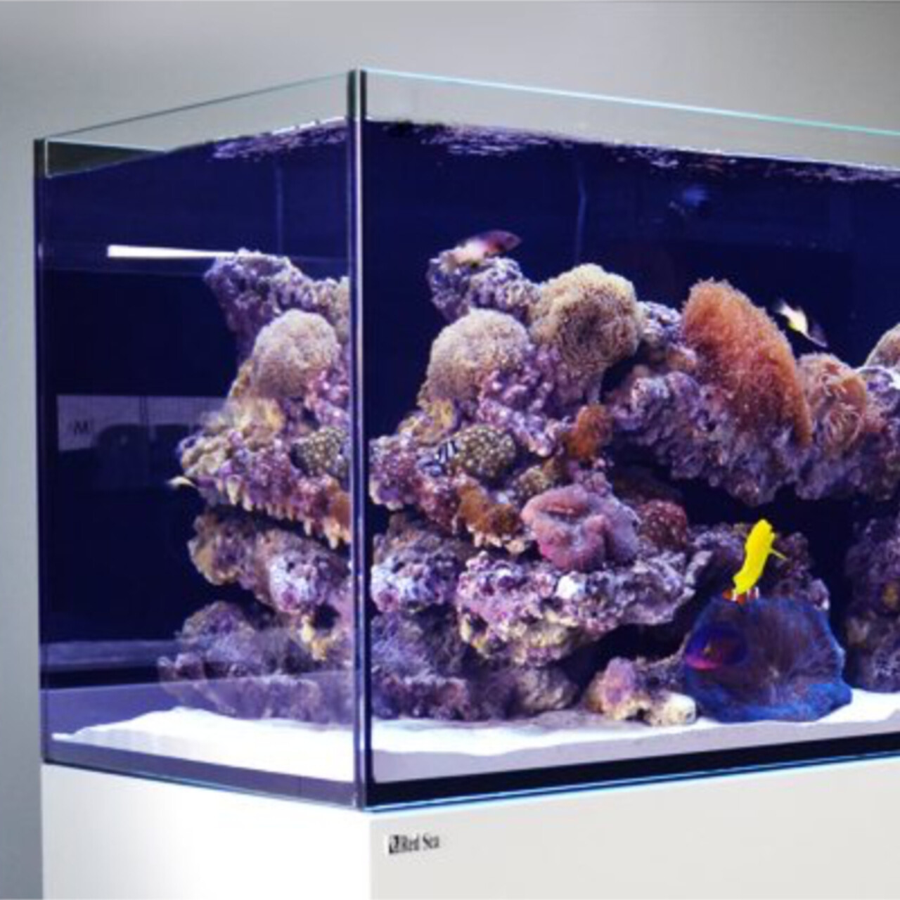 Red Sea Reefer 900 G2+ MAX schwarz