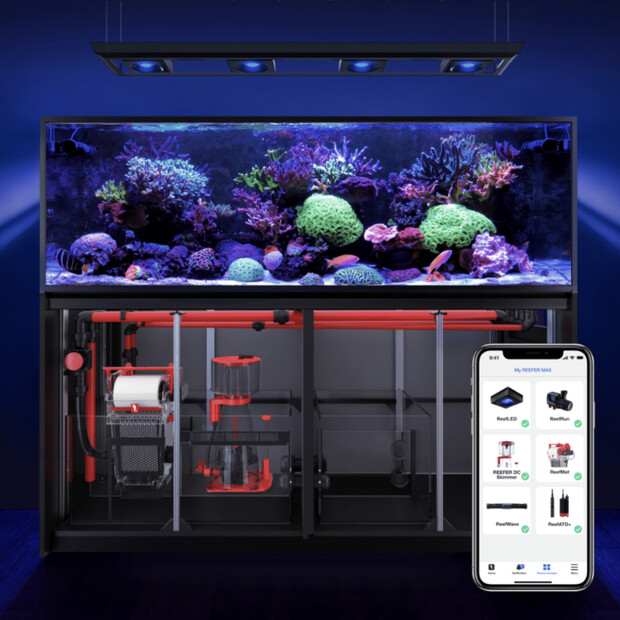 Red Sea REEFER MAX Peninsula 500 G2+