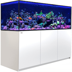 Red Sea Reefer-S 850 G2+ weiss