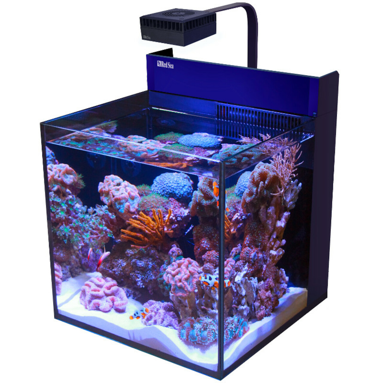 Red Sea Max Nano Cube G2 weiss