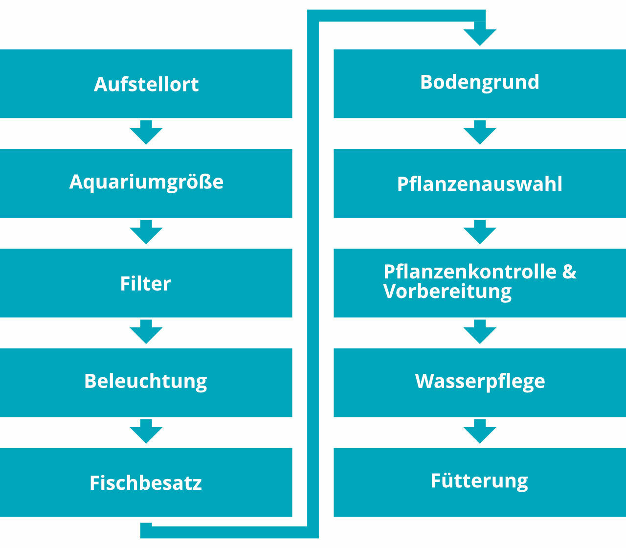 Checkliste Algen bekämpfen