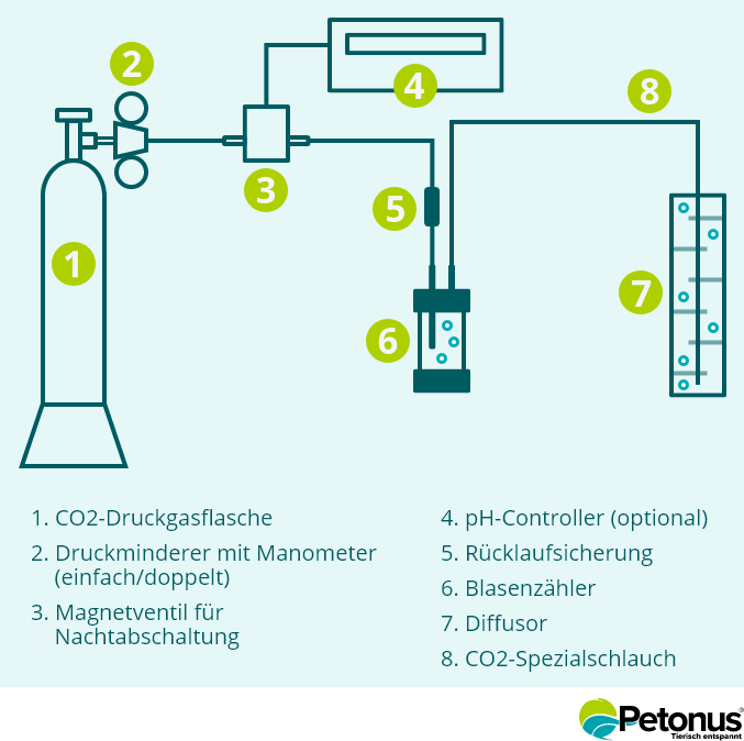 Aufbau einer CO2-Anlage mit Druckgasflasche