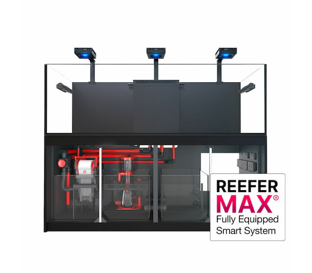 Red Sea Reefer MAX G2+