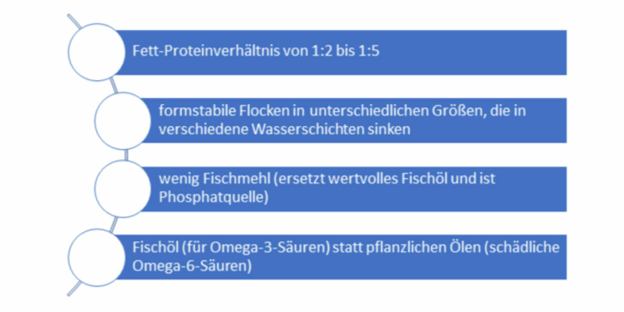 Merkmale gutes Trockenfutter für Fische