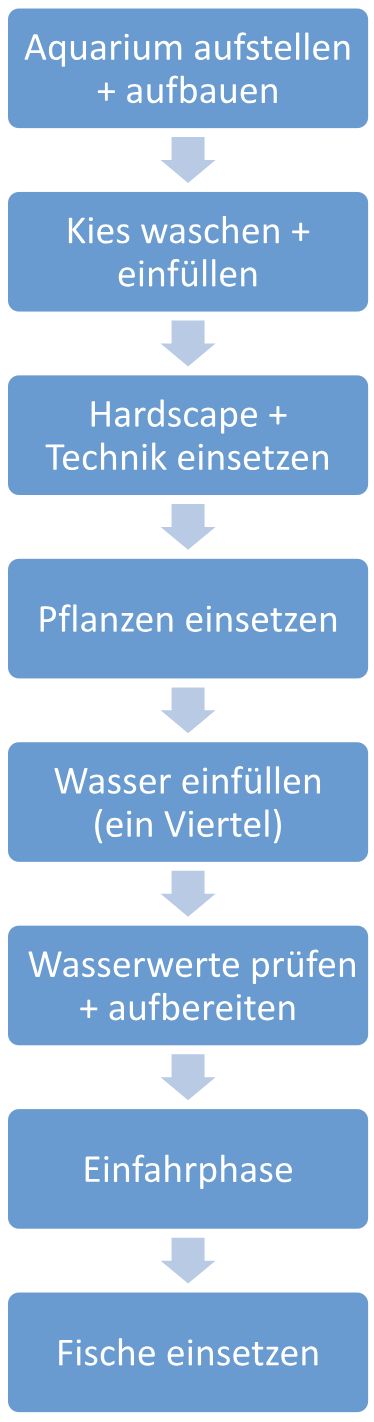 Grafik: Schritt für Schritt Anleitung Aquarium einrichten