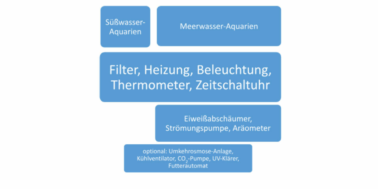 Checkliste: Welche Technik fürs Aquarium