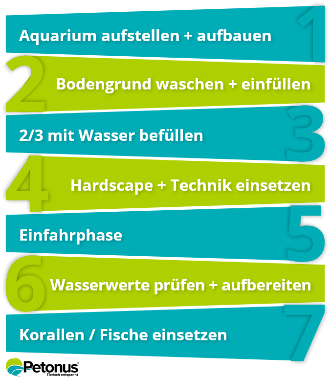 Schritt für Schritt Anleitung Meerwasseraqaurium