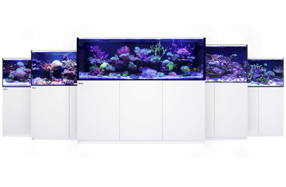 Red Sea Reefer G2 Modelle - kaufen auf Petonus.de