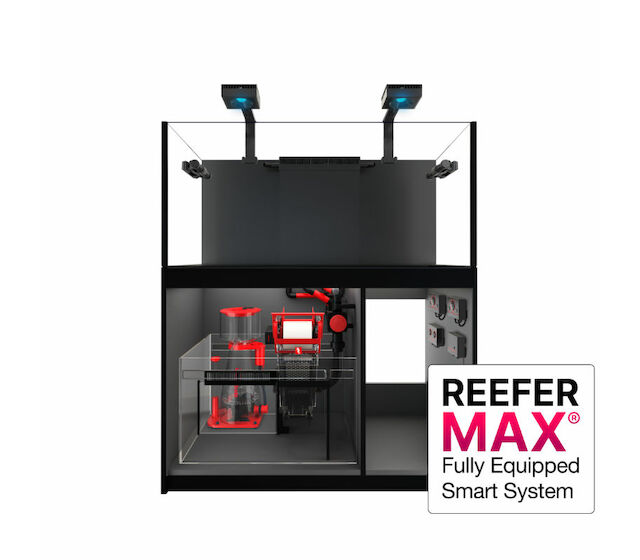 Red Sea Reefer MAX G2+