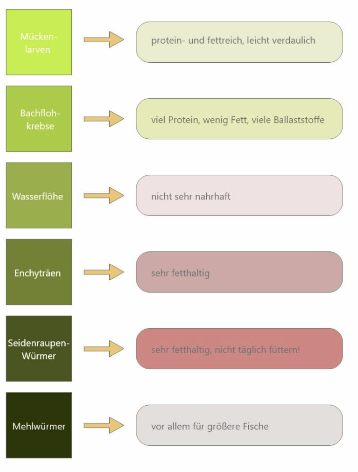 Goldfisch-Futter selber machen Zutaten