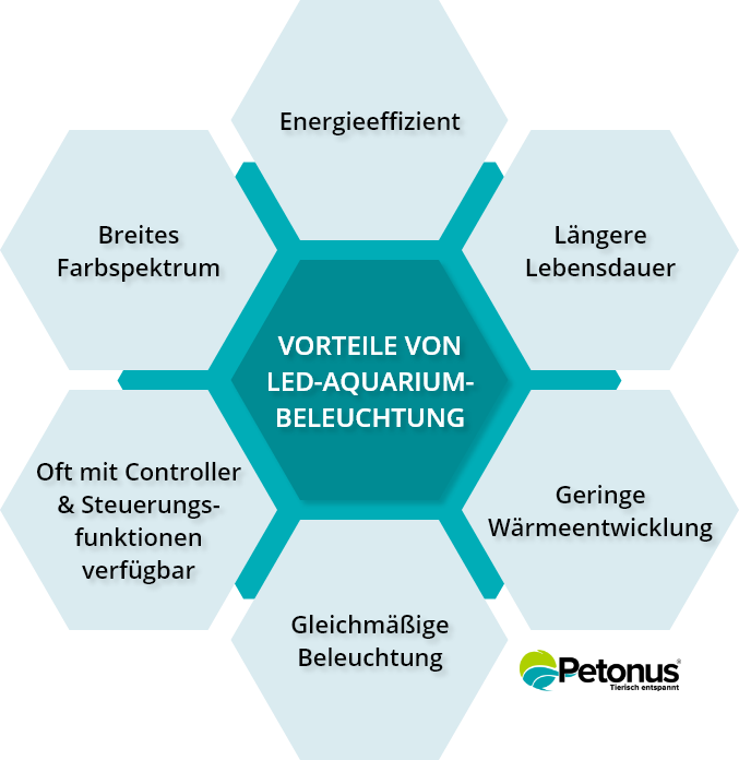 Grafik: LED-Beleuchtung Vorteile Petonus